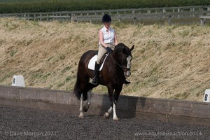 ISIS Dressage Challenge 2008